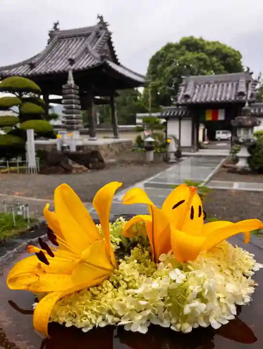 真言宗 善通寺派 薬王寺の自然