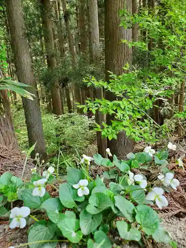 磐椅神社の自然