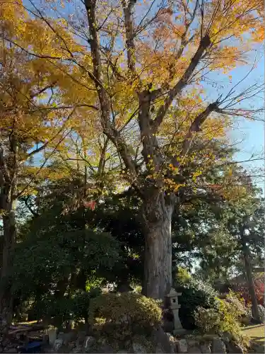 神戸神社(三重県)
