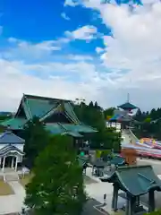 成田山新勝寺の本殿