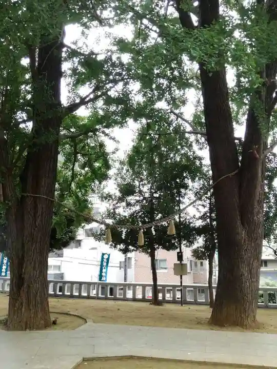 代田八幡神社の自然