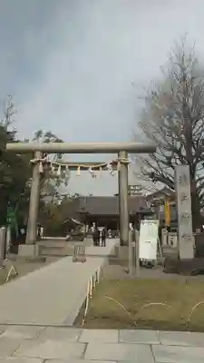 浅草神社の鳥居