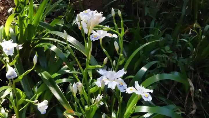 小國神社の自然