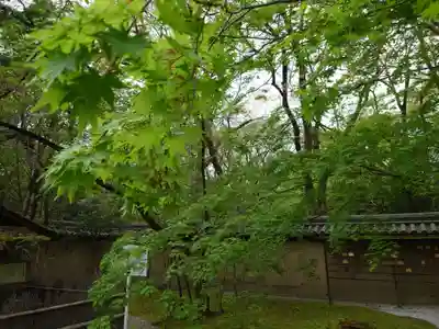 賀茂御祖神社（下鴨神社）(京都府)