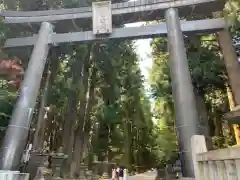 北口本宮冨士浅間神社の鳥居