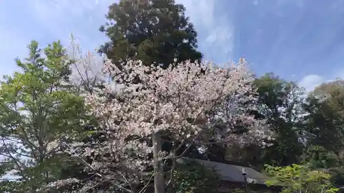 出雲大神宮(京都府)