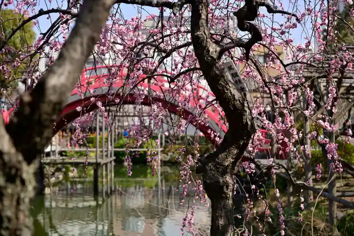 亀戸天神社(東京都)