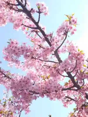 大己貴神社の自然