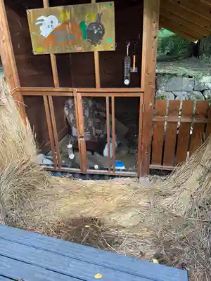 山家神社(長野県)