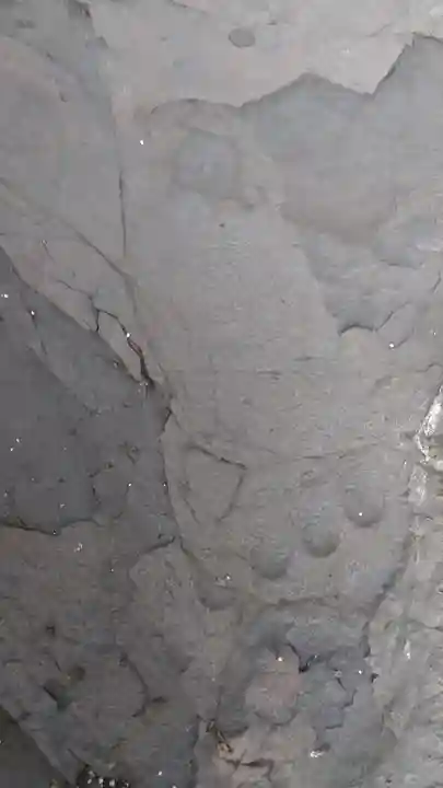 台雲寺(宮崎県)