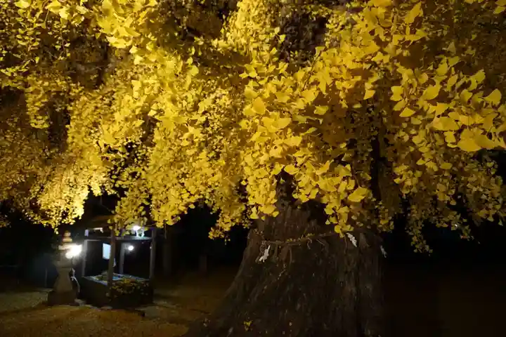 丹生酒殿神社の自然