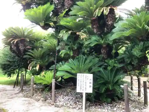 綱敷天満宮の自然