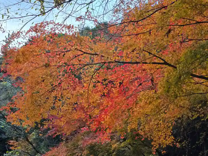 大本山七宝瀧寺(大阪府)