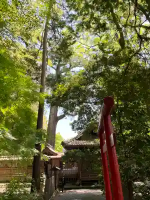 事任八幡宮(静岡県)