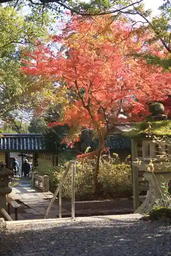 松尾大社の自然