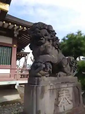 赤塚氷川神社の狛犬