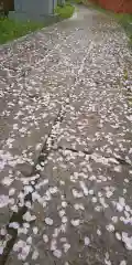 稗田野神社(薭田野神社)(京都府)