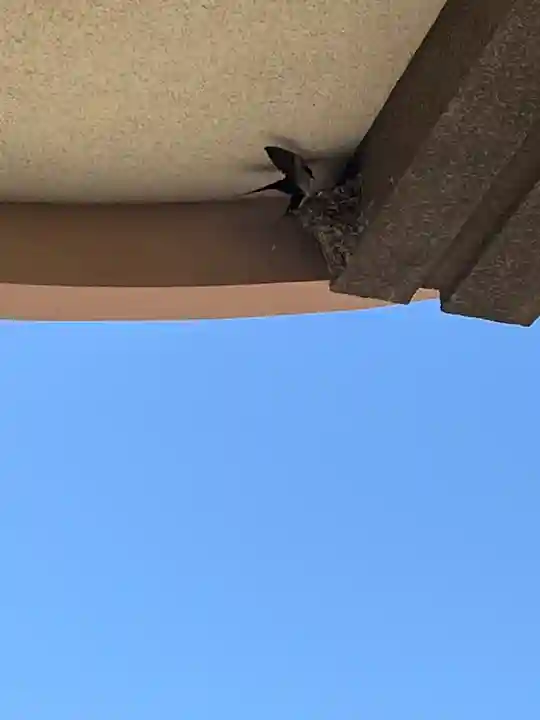 防府天満宮(山口県)