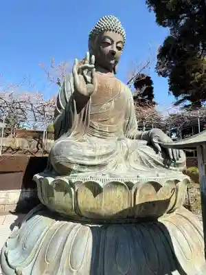 寶泉寺（宝泉寺）の{uncategorized: "未分類", other: "その他", undefined: "問題あり", building: "その他建物", grave: "お墓", sacred_gate: "鳥居", guardian: "狛犬", statue: "像", buddha: "仏像", history: "歴史", nature: "自然", garden: "庭園", animal: "動物", pagoda: "塔", temizu: "手水舎", mountain_gate: "山門・神門", sanctuary: "本殿・本堂", subordinate: "末社・摂社", art: "芸術", scenery: "景色", jizo: "地蔵", ema: "絵馬", goshuin: "御朱印", omikuji: "おみくじ", items: "授与品その他", amulet: "お守り", goshuincho: "御朱印帳", eats: "食事", festival: "お祭り", votive_dance: "神楽", shichigosan: "七五三参", wedding: "結婚式", experience: "体験その他", initially: "初詣", around: "周辺", anti_infection: "感染症対策"}