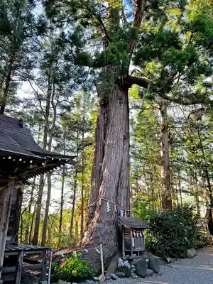 鎮守府八幡宮の自然