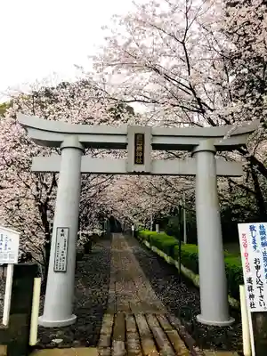 豊葦原神社の鳥居