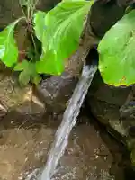 法宣寺(千葉県)