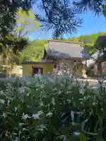 国上寺(新潟県)