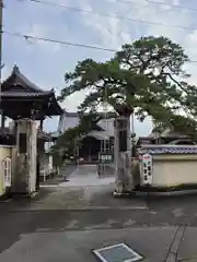 大慶寺の山門