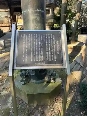雄琴神社(栃木県)