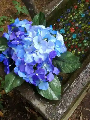 大宝八幡宮の自然