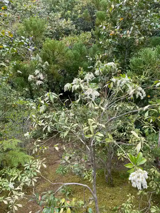 光悦寺(京都府)