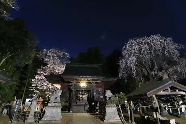 田村神社の本殿・本堂