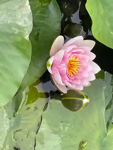 大生郷天満宮の自然