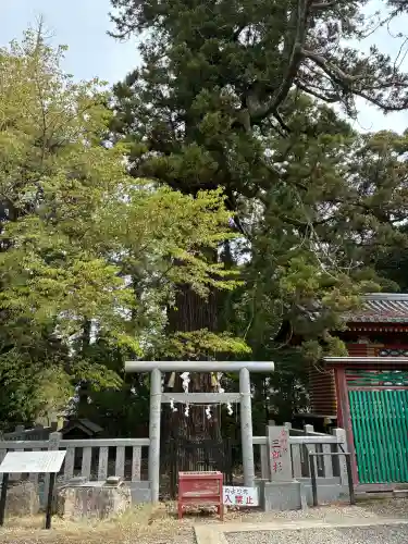 大杉神社の{uncategorized: "未分類", other: "その他", undefined: "問題あり", building: "その他建物", grave: "お墓", sacred_gate: "鳥居", guardian: "狛犬", statue: "像", buddha: "仏像", history: "歴史", nature: "自然", garden: "庭園", animal: "動物", pagoda: "塔", temizu: "手水舎", mountain_gate: "山門・神門", sanctuary: "本殿・本堂", subordinate: "末社・摂社", art: "芸術", scenery: "景色", jizo: "地蔵", ema: "絵馬", goshuin: "御朱印", omikuji: "おみくじ", items: "授与品その他", amulet: "お守り", goshuincho: "御朱印帳", eats: "食事", festival: "お祭り", votive_dance: "神楽", shichigosan: "七五三参", wedding: "結婚式", experience: "体験その他", initially: "初詣", around: "周辺", anti_infection: "感染症対策"}