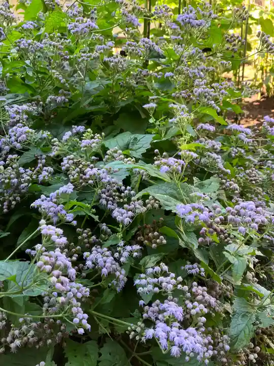 上野東照宮(東京都)