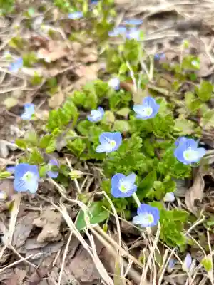 蚊里田八幡宮の{uncategorized: "未分類", other: "その他", undefined: "問題あり", building: "その他建物", grave: "お墓", sacred_gate: "鳥居", guardian: "狛犬", statue: "像", buddha: "仏像", history: "歴史", nature: "自然", garden: "庭園", animal: "動物", pagoda: "塔", temizu: "手水舎", mountain_gate: "山門・神門", sanctuary: "本殿・本堂", subordinate: "末社・摂社", art: "芸術", scenery: "景色", jizo: "地蔵", ema: "絵馬", goshuin: "御朱印", omikuji: "おみくじ", items: "授与品その他", amulet: "お守り", goshuincho: "御朱印帳", eats: "食事", festival: "お祭り", votive_dance: "神楽", shichigosan: "七五三参", wedding: "結婚式", experience: "体験その他", initially: "初詣", around: "周辺", anti_infection: "感染症対策"}