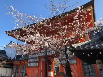 八坂神社(祇園さん)の山門・神門