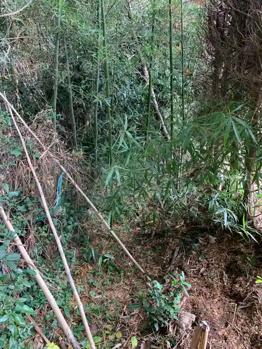 妙見神社(千葉県)
