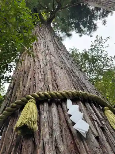丹生川上神社（中社）(奈良県)