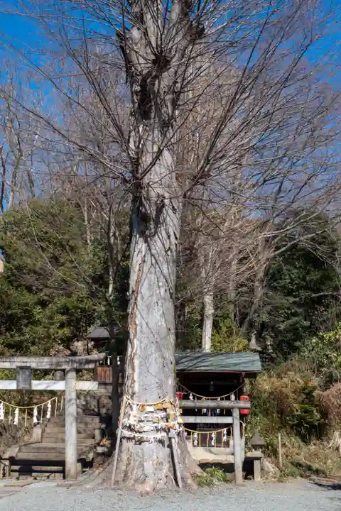 八雲神社(緑町)(栃木県)