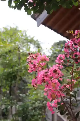 学文路天満宮の景色