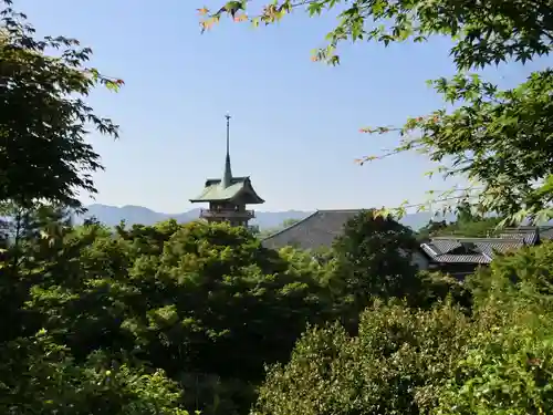 高台寺（高台寿聖禅寺・高臺寺）の景色