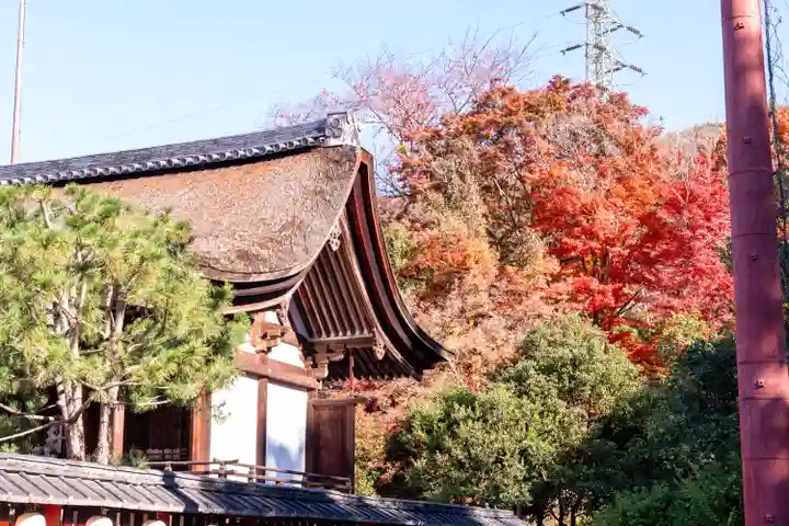 宇治神社(京都府)