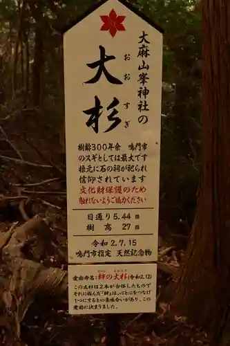 峯神社(大麻比古神社奥宮)(徳島県)