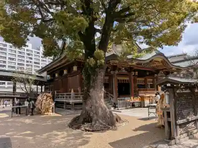 湯島天満宮の{uncategorized: "未分類", other: "その他", undefined: "問題あり", building: "その他建物", grave: "お墓", sacred_gate: "鳥居", guardian: "狛犬", statue: "像", buddha: "仏像", history: "歴史", nature: "自然", garden: "庭園", animal: "動物", pagoda: "塔", temizu: "手水舎", mountain_gate: "山門・神門", sanctuary: "本殿・本堂", subordinate: "末社・摂社", art: "芸術", scenery: "景色", jizo: "地蔵", ema: "絵馬", goshuin: "御朱印", omikuji: "おみくじ", items: "授与品その他", amulet: "お守り", goshuincho: "御朱印帳", eats: "食事", festival: "お祭り", votive_dance: "神楽", shichigosan: "七五三参", wedding: "結婚式", experience: "体験その他", initially: "初詣", around: "周辺", anti_infection: "感染症対策"}