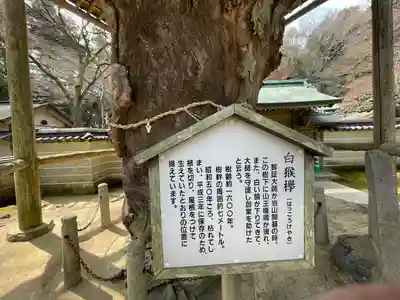 根香寺(香川県)