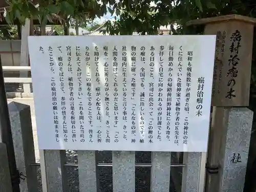 稗田野神社(薭田野神社)(京都府)