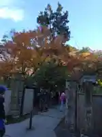 明月院(神奈川県)