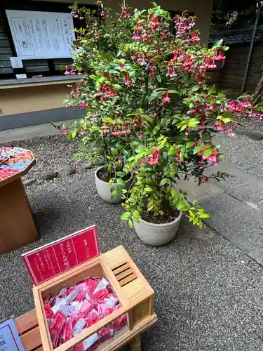 赤坂氷川神社(東京都)