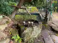 清滝寺の手水舎